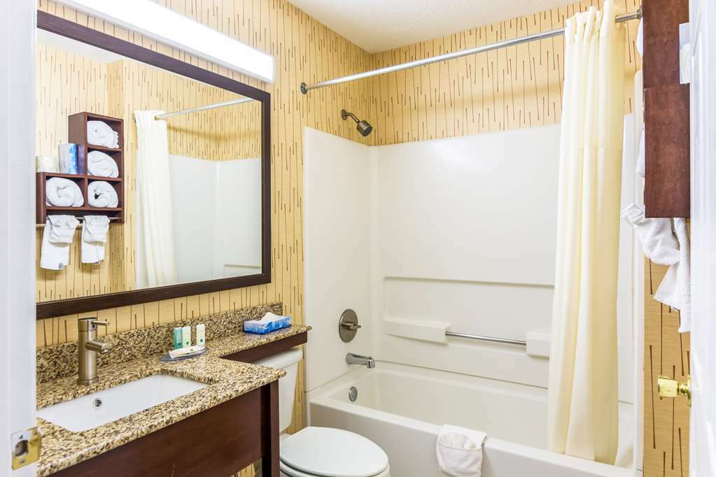 Quality Inn Chester - South Richmond Værelse billede